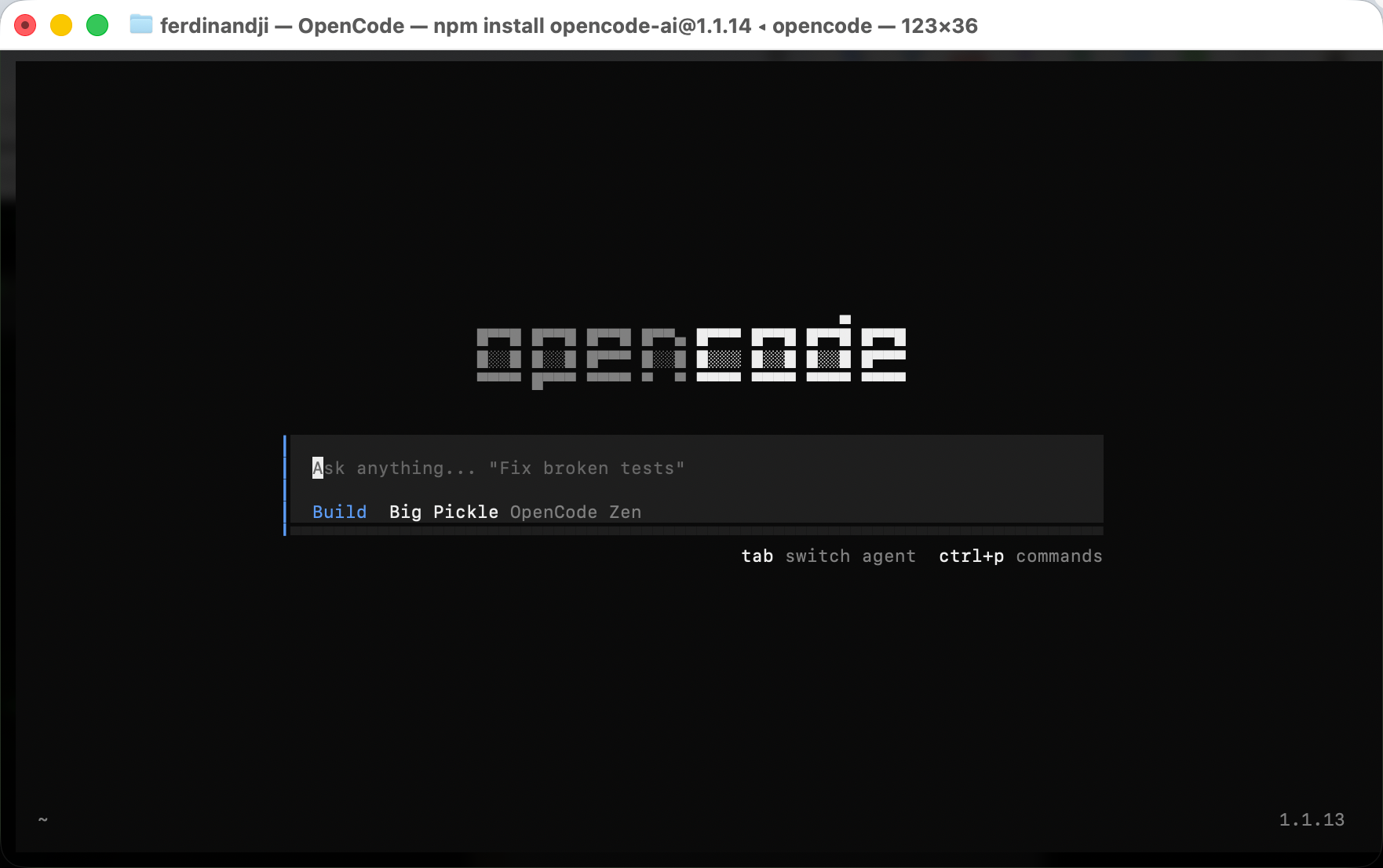 OpenCode 安装完成
